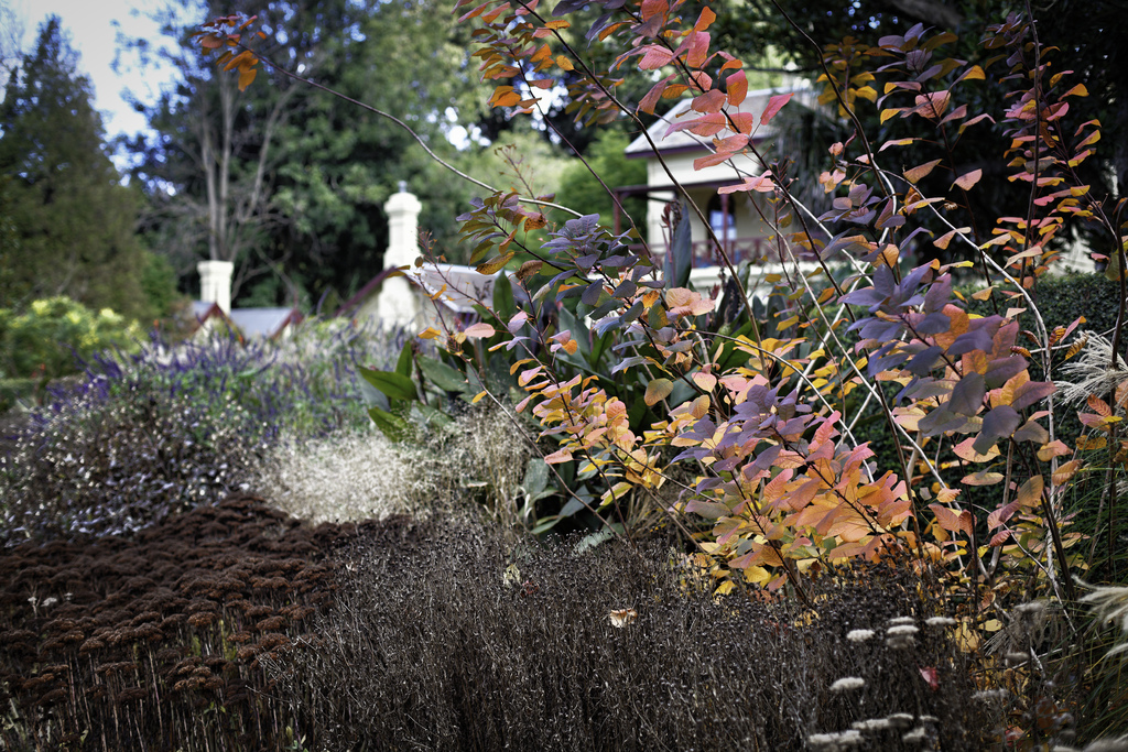 Royal Botanic Gardens Melbourne.