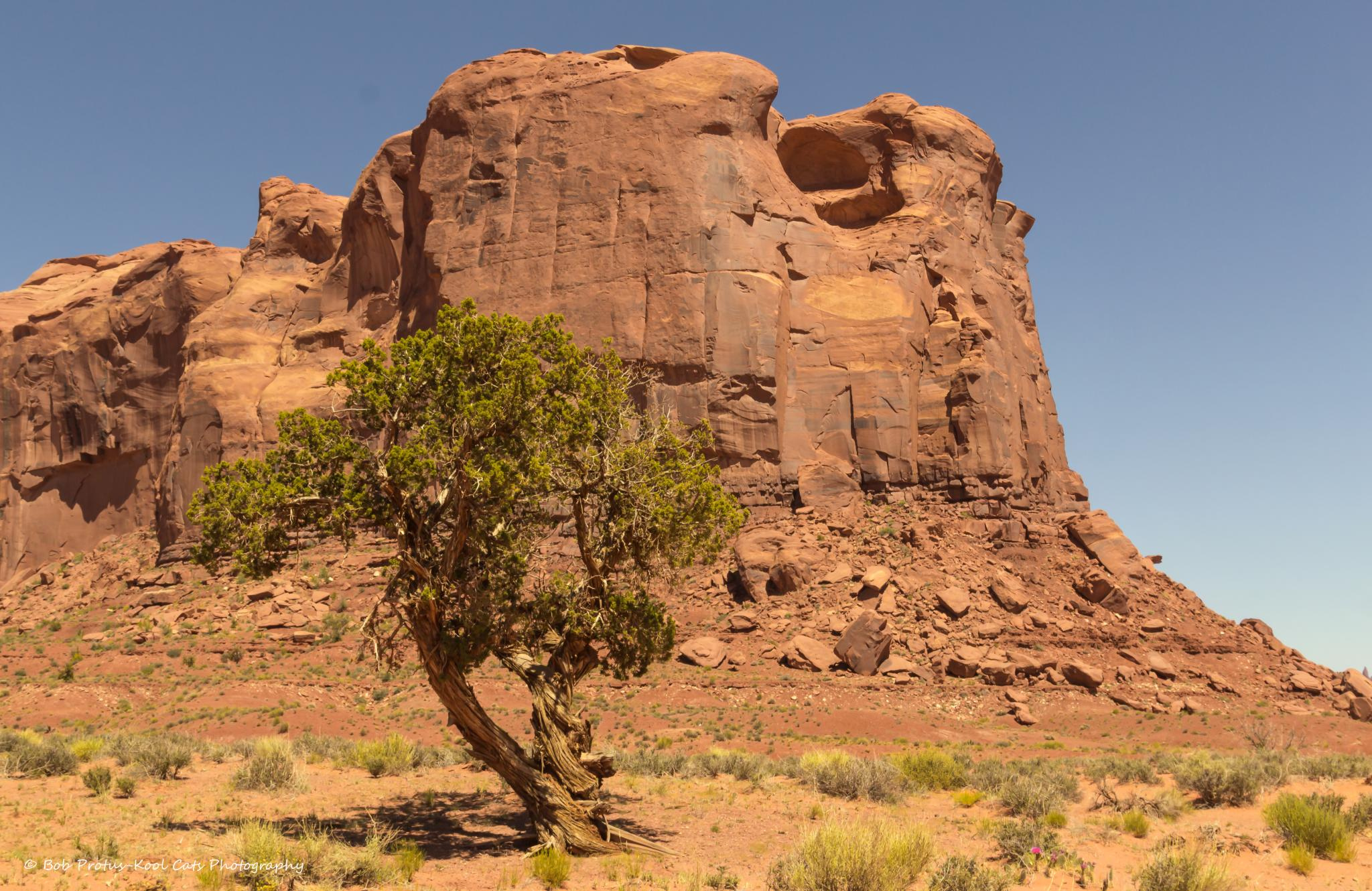 presentation on desert environment