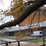 View of HKW from Natalie Jeremijenko's Tree Office November 2014, First Anthropocene Campus (Photo Libby Robin)