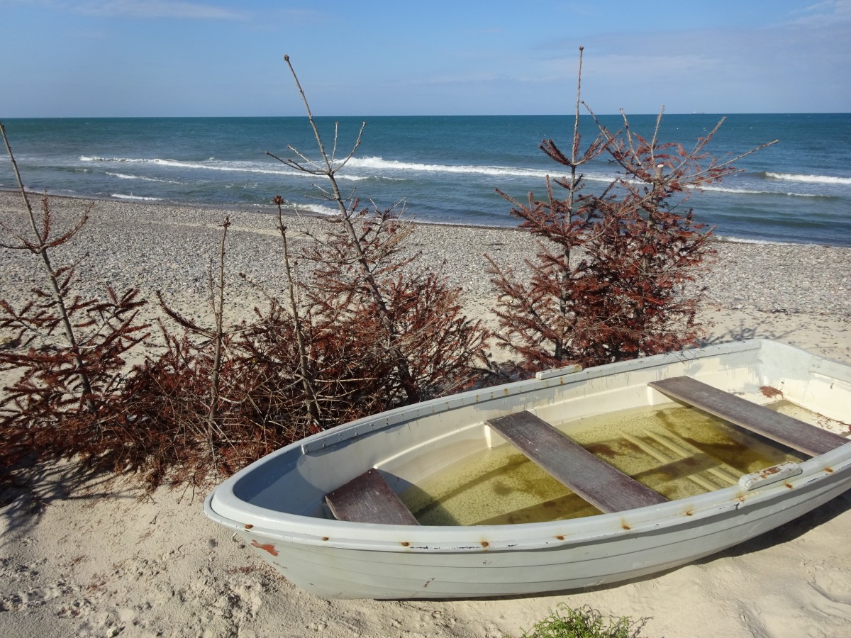 Boat on shore